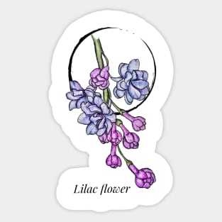 Lilac watercolor flower Sticker